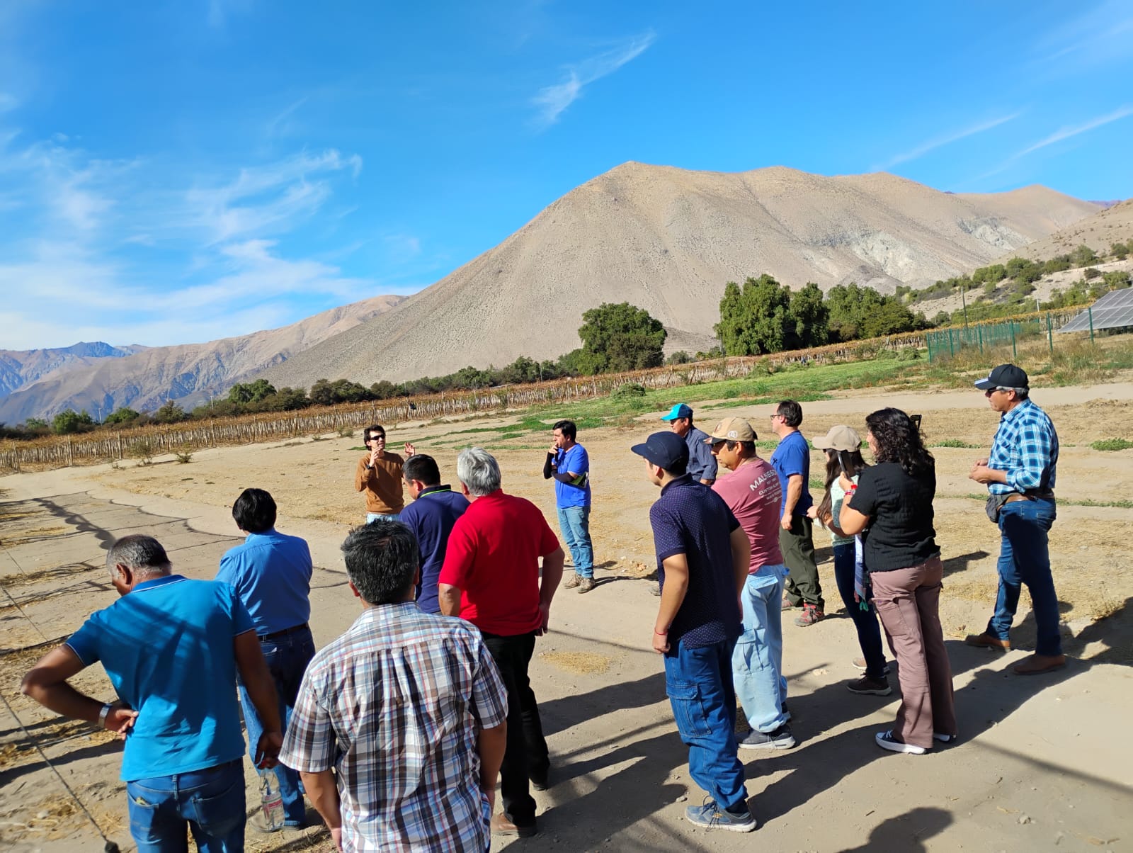 WhatsApp Image 2025-07-22 at 09.53.06